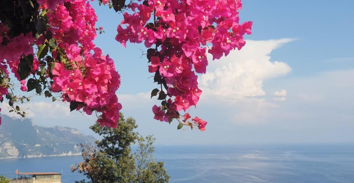 Villa Grace Amalfi Seaview Ngoại thất bức ảnh