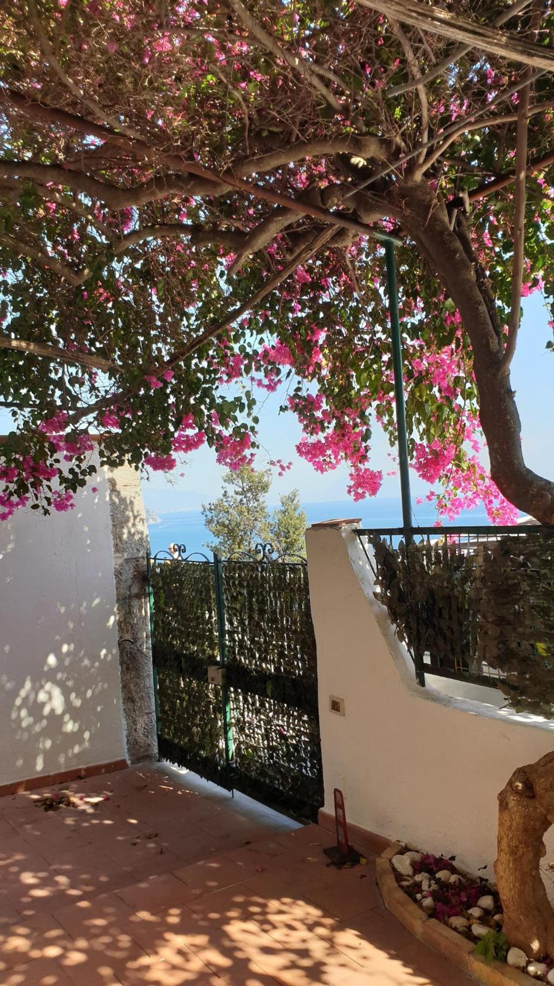 Villa Grace Amalfi Seaview Ngoại thất bức ảnh